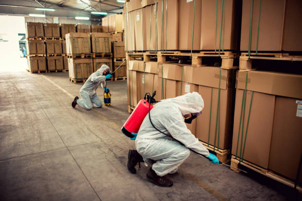 Best Affordable Pest Control Services  in Bolindale, OH