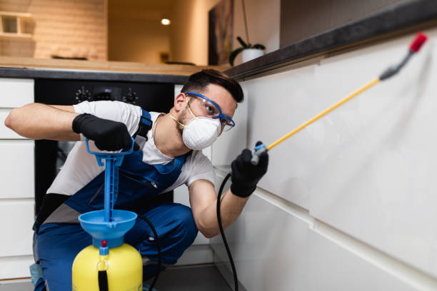 Best Pest Inspection Near Me  in Bolindale, OH