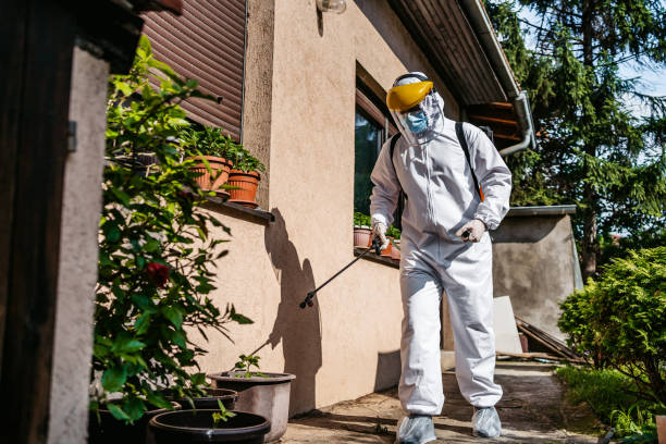 Best Affordable Pest Control Services  in Bolindale, OH