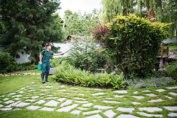 Best Best Pest Control Companies  in Bolindale, OH