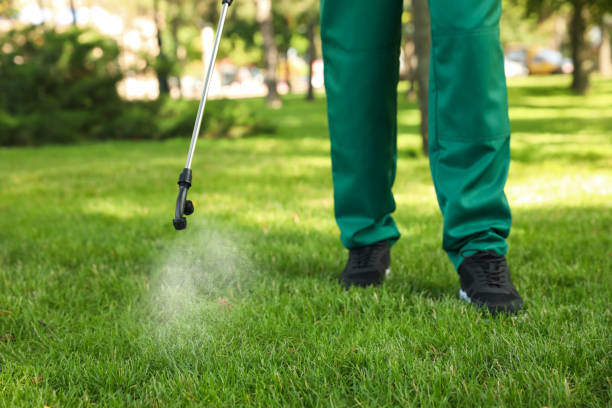Trusted Bolindale, OH Pest Control Experts