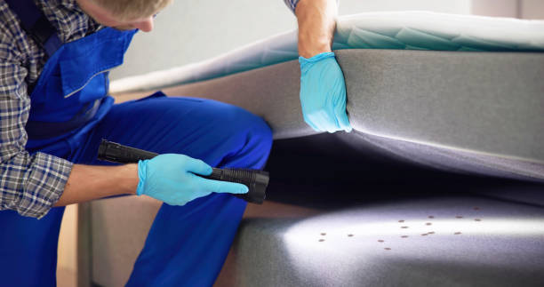 Best Bed Bug Extermination  in Bolindale, OH