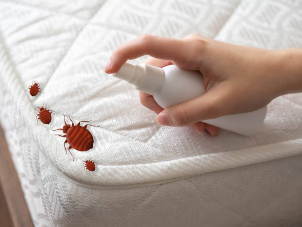 Best Emergency Pest Control  in Bolindale, OH