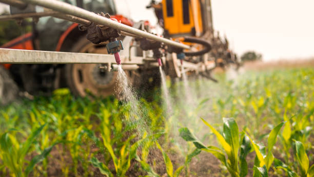 Best Commercial Pest Control Services  in Bolindale, OH